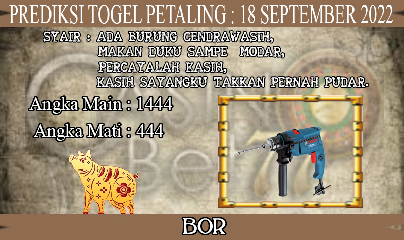 PREDIKSI TOGEL PETALING HARI MINGGU : 18 SEPTEMBER 2022