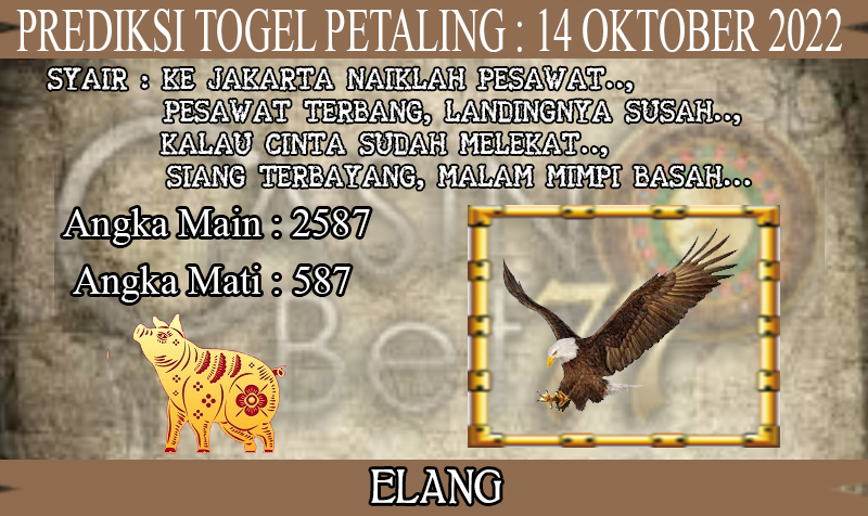 PREDIKSI TOGEL PETALING HARI JUMAT : 14 OKTOBER 2022